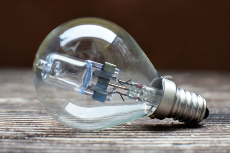 Close up image of a bulb at a place